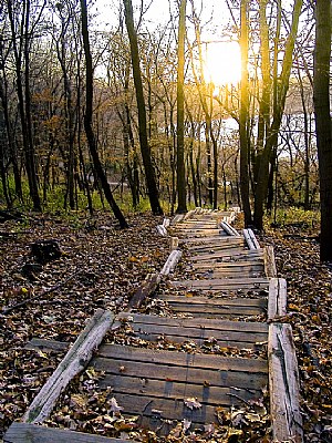 Steps at Sunset