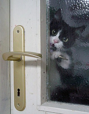 let me in!!!