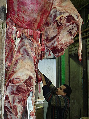 Strong Meat 