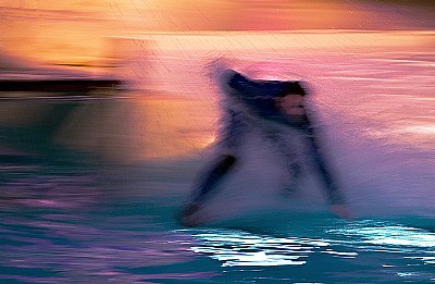 Surfing on a delphin
