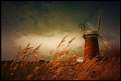 Horsey Mill, Norfolk