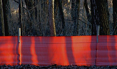 Orange Edging