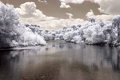 myakka river