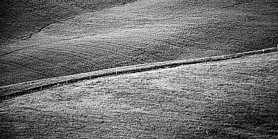 composition with fence #2