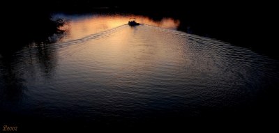 Into The Light