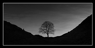 Sycamore Gap