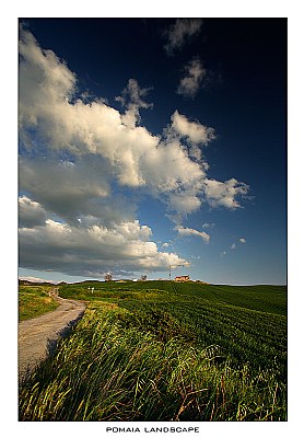 Pomaia landscape