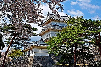 Odawara Castle - The Donjon