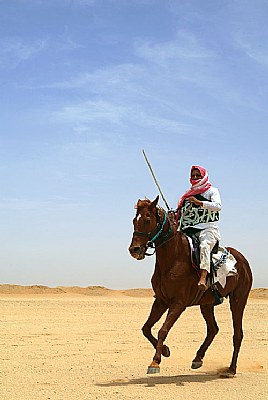 ...Arabian Knight2...