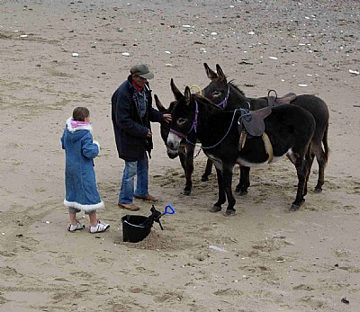 Beach Scene