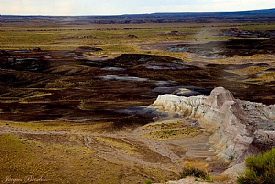 painted desert 2