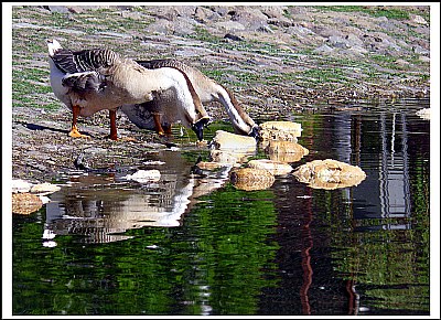 a mirror, tell me please.....:)