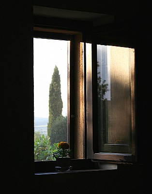 La finestra sul cortile