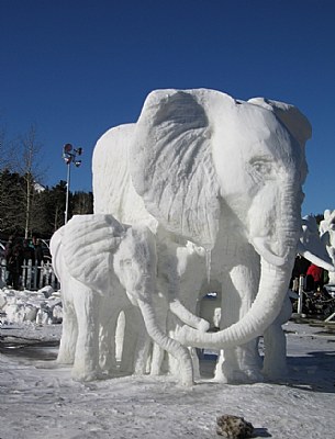 Snow Elephants