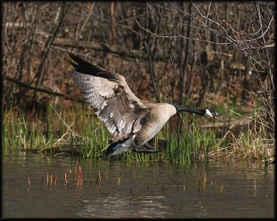 Final Approach