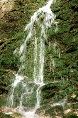 waterfall #1