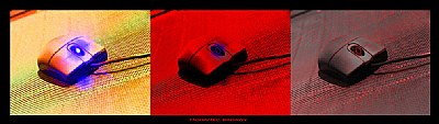 my active mouse