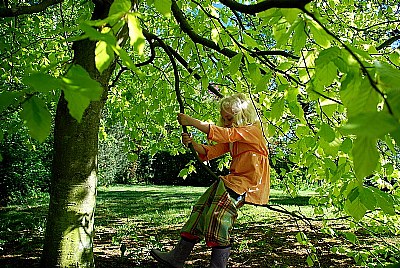 Anna Sophie´s spring