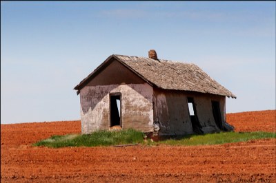 Red Field