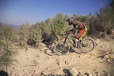 Nick In The Rock Garden Mt Stromlo V