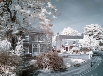 IR with Zeiss ZF 25mm