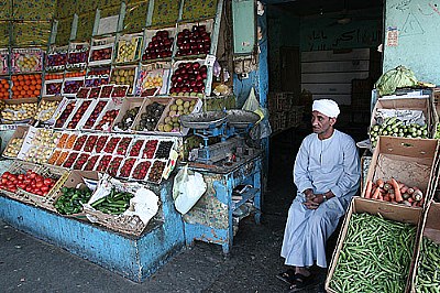 Sales man
