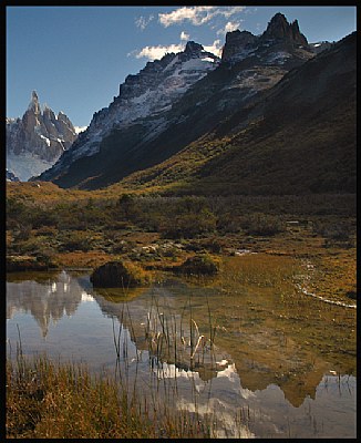 Afternoon Reflections