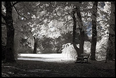 [[Autumn Sessions]] IR