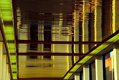 Skywalk Reflections