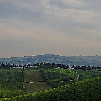 questi contateli voi....