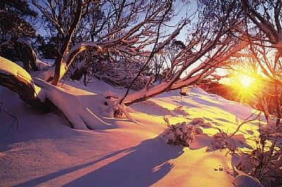 SNOW Sunset