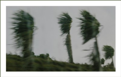 gaurdians. otago peninsula.