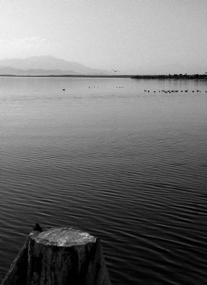 Salton Sea V