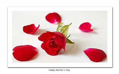 Happy Mother's Day