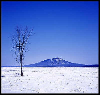 Alone in snow desert