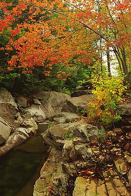 Autumn in New England