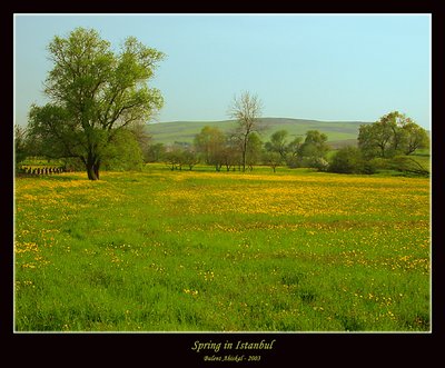 Spring in Istanbul