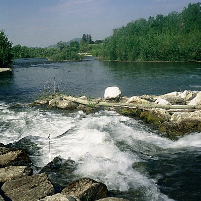 il fiume di Lucca #5