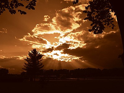 sunset in sepia