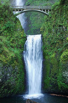 bridge and lower falls