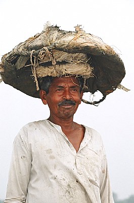Farmer of Bengal