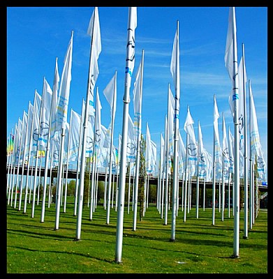 flags