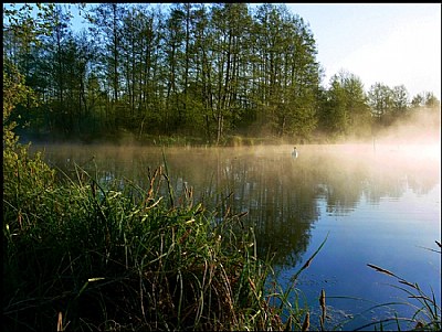 Dawn on Forgotten Lake...