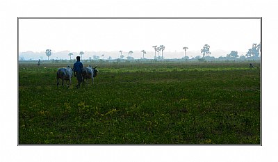 Nandigram ... In action