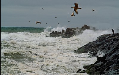 Rough Seas 2