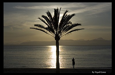 Sunset in Palma