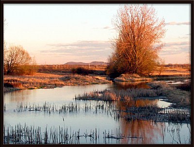 The Marsh at Sundown