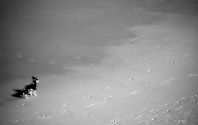 ...Alone...