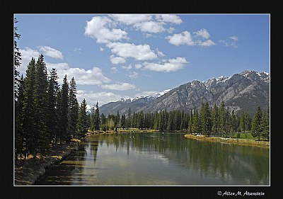 Banff (d1135)