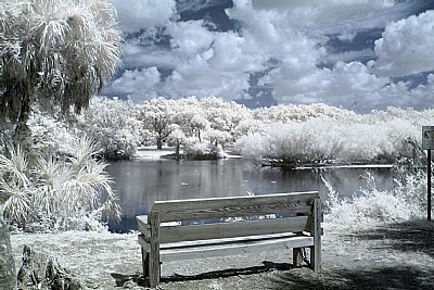 bench in color ir